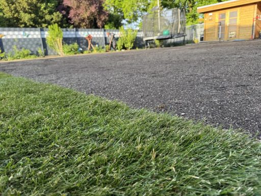 Grüne Rasenfläche am Rand eines asphaltierten Weges, im Hintergrund ein Holzgebäude.